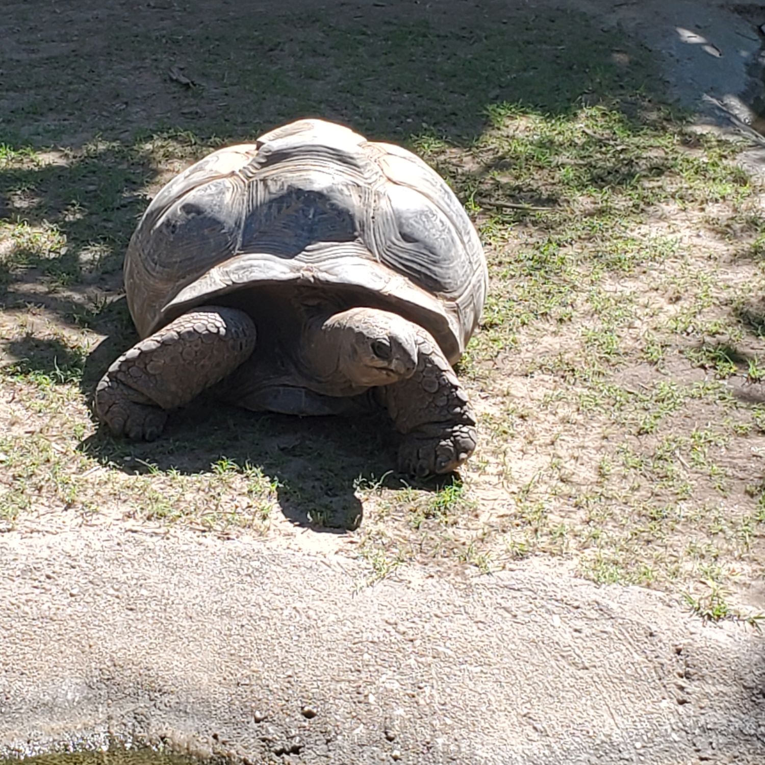 Sedgwick County Zoo 